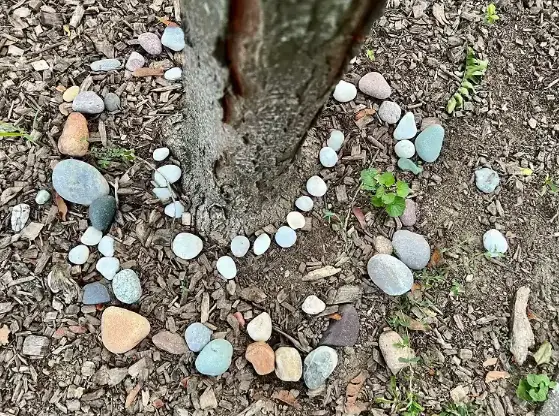 WHY PUT A STONE AT THE FOOT OF THE TREES? GRANDMA’S SURPRISING TRICK