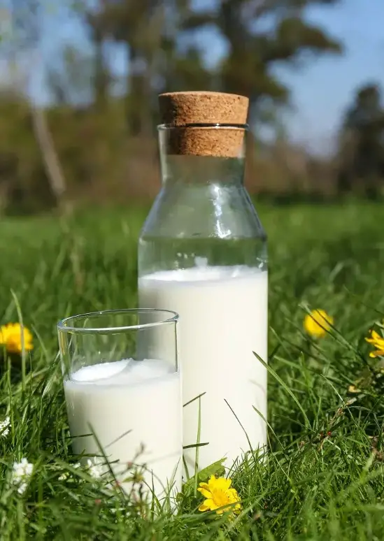 WHICH PLANTS LIKE MILK? WHAT ARE THE BENEFITS AND HOW OFTEN SHOULD YOU WATER THEM? Plants and