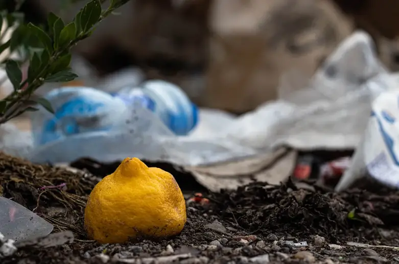 WHY PUT LEMON PEEL AROUND THE COMPOST? WHERE CAN YOU THROW CITRUS