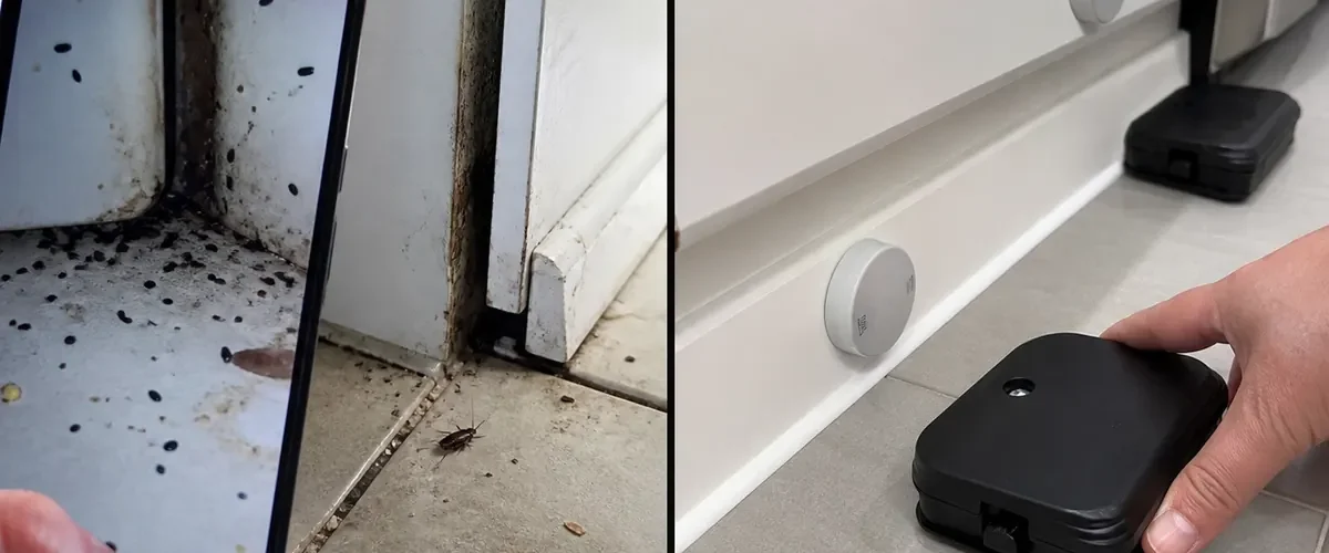 Roaches beyond a freshly mopped floor before a dry sealed kitchen afterward